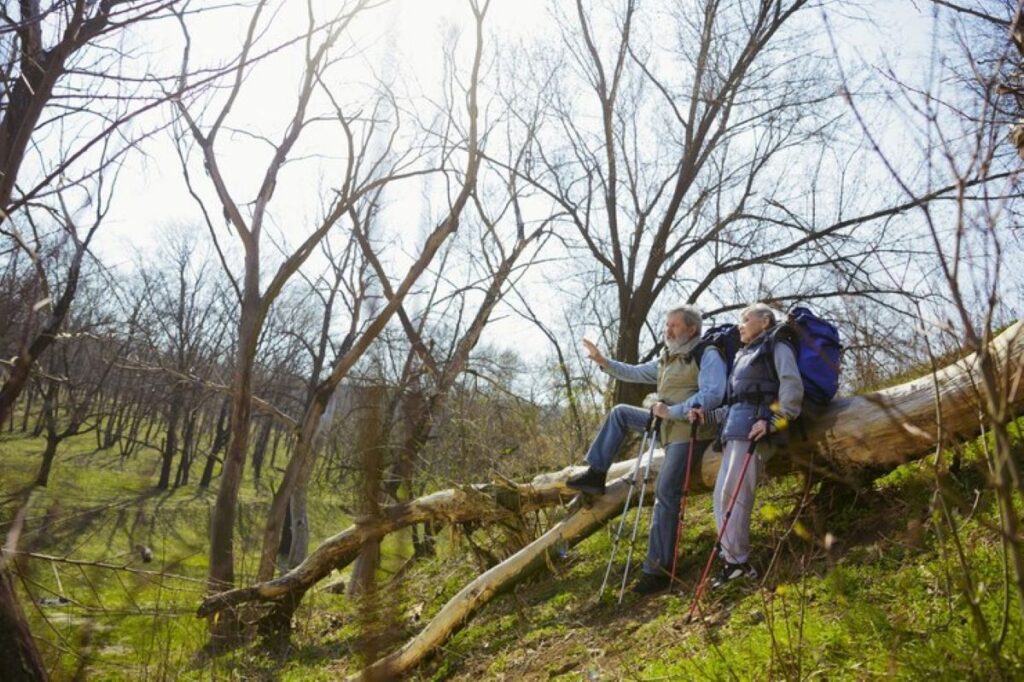 tree remove in hills