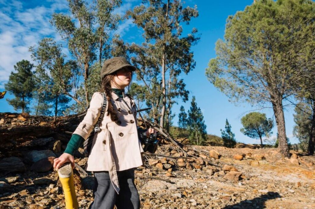 tree remove in hills