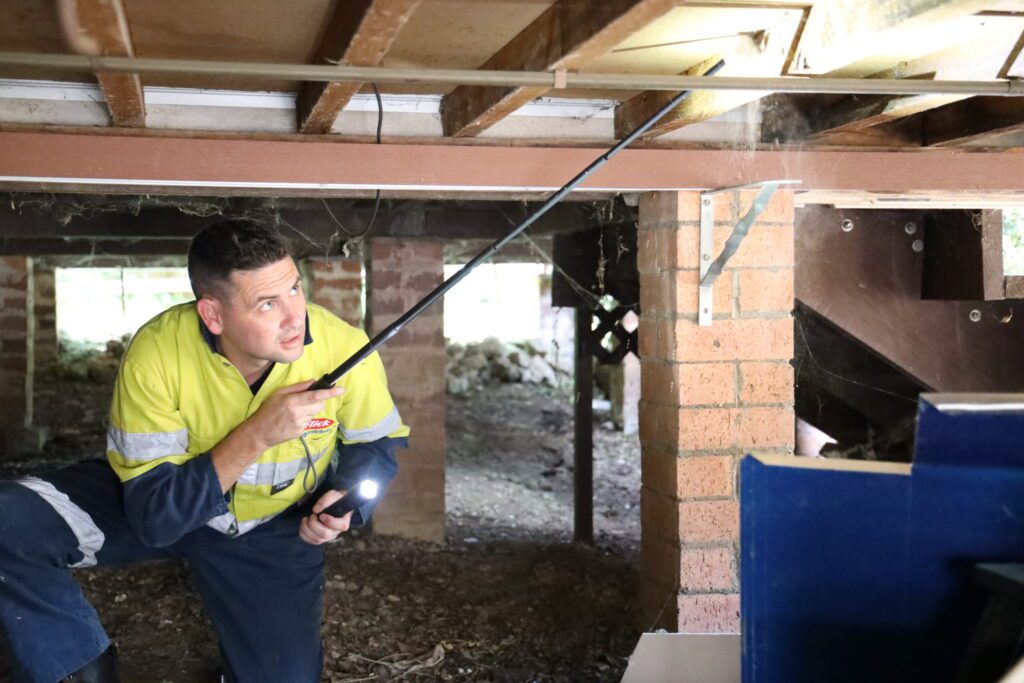 Affordable Termite Inspections in Sydney: When and Why You Need One